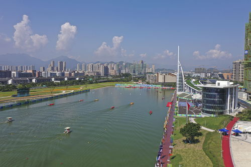 群眾比賽龍舟決賽溫州開(kāi)賽，展現(xiàn)傳統(tǒng)體育魅力